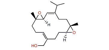 Nanolobol B